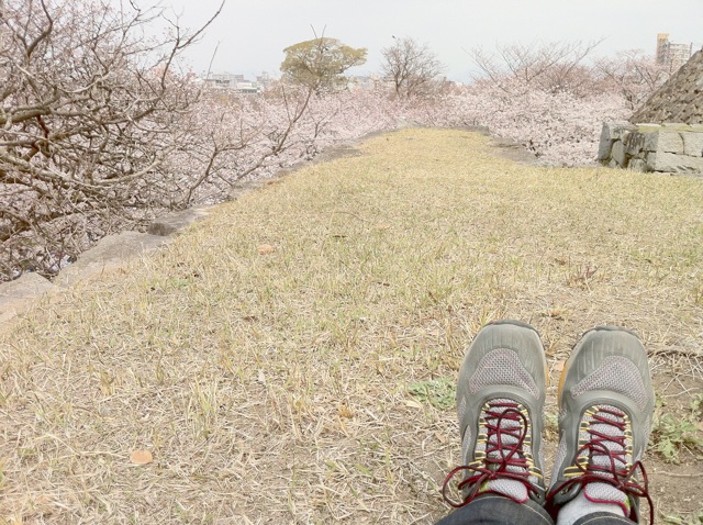 舞鶴公園｜石垣に登ってみた