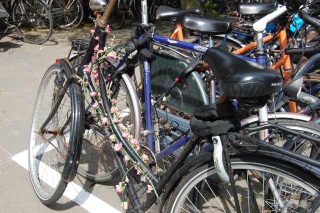 デコチャリその２｜自転車を花で飾る｜オランダ