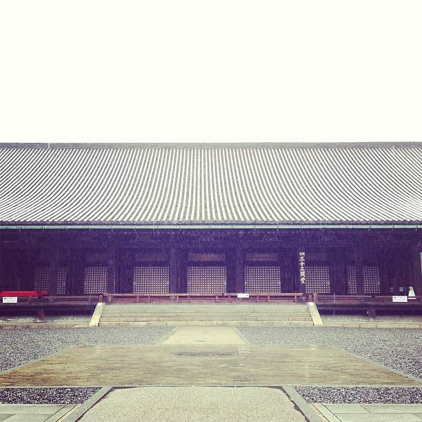 もちろん長すぎて写真に収まらない。