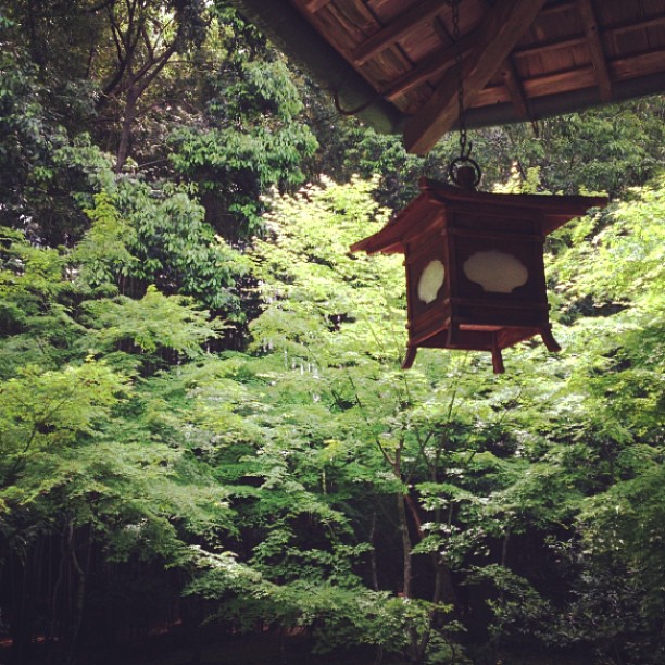 緑の禅寺 緑の禅寺