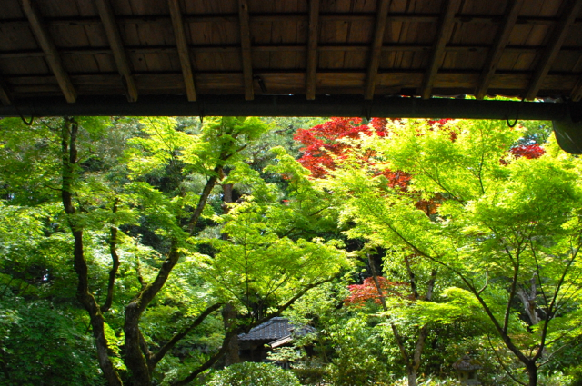 Kohtoh-in, Daitoku-ji, Kyoto