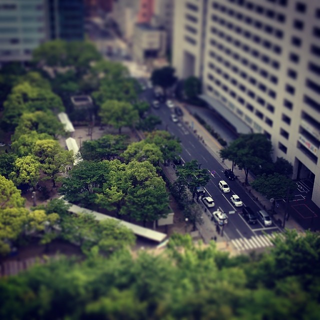 Looking down the city.