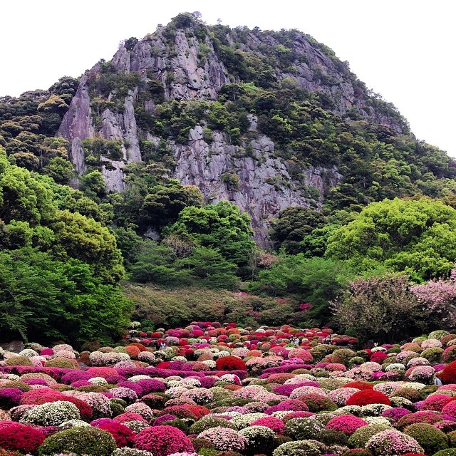 まさしく楽園。