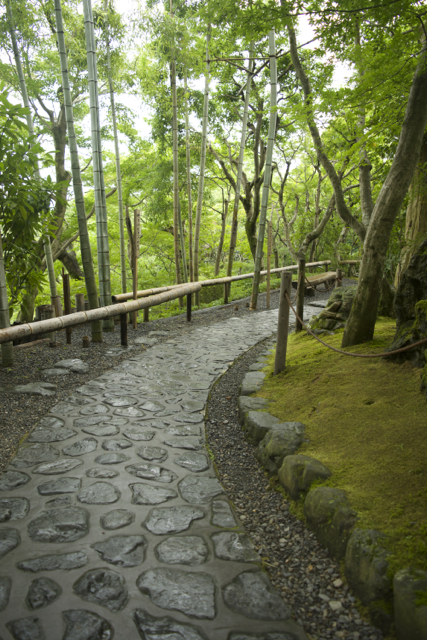 Suzumushi-dera Temple, Kyoto, 04 Aug, 2014