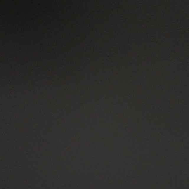朝からいろいろ鳥が歌ってます♪まだウグイスも聞こえる。（音声のみ）（コツコツなってるのはレンズカバーのせい）#ウチの庭