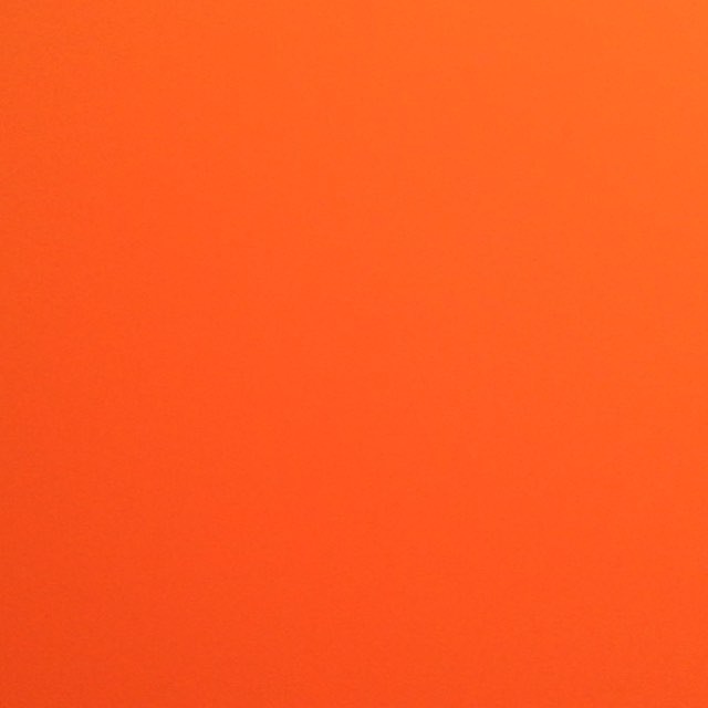 ニセアカシアの木に鳥が2羽きてる。（音声のみ）（虫の声も聞こえる） #ウチの庭