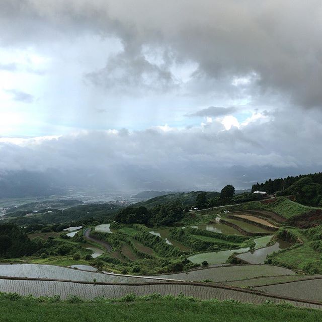 通勤帰り。ここは標高381mだそうです。田植えも終わって梅雨本番です。