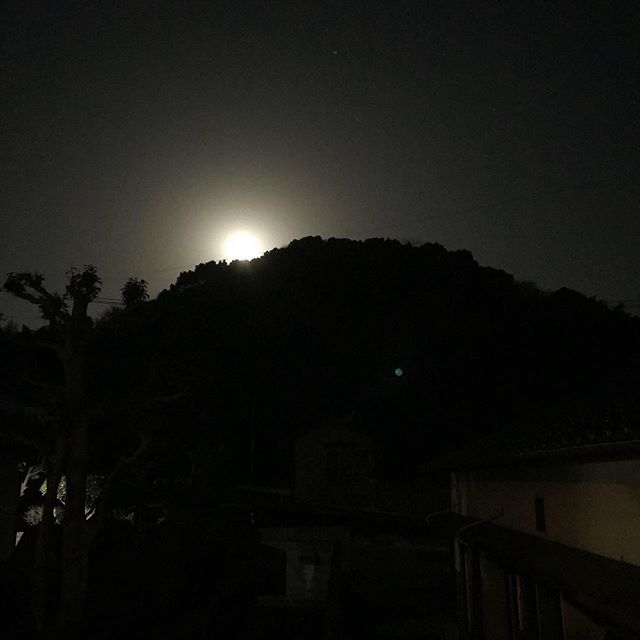 月が昇ってくるよ！Moonrise!