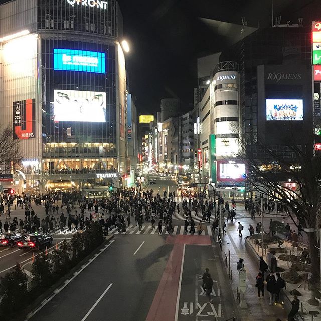 これがトーキョー！って景色 #今日の一点透視図法