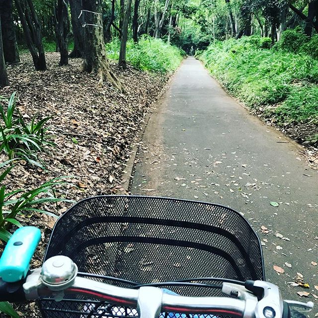 しばらく前の写真。自転車でうろうろ。森、と呼べる公園を発見。空気余計に吸ってきました。#今日の一点透視図法