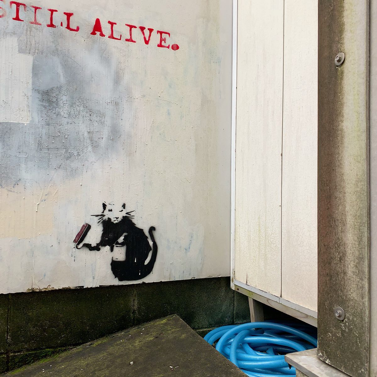 お店の人曰く、「おそらく本物」とのこと。#banksy