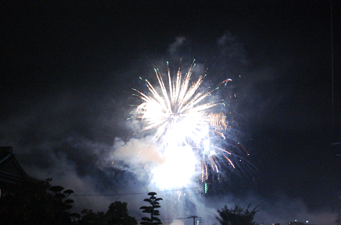 花火 DSC_08430004