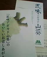 緑モス pic_0252.jpg