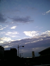 秋来た(か?) 2955cb5c.jpg