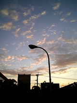 朝焼けと水銀灯 5d590646.jpg