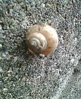 雨が降り出した pic_0273.jpg