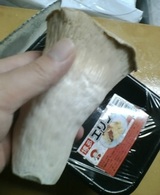 博多エリンギ 8e3aa954.jpg