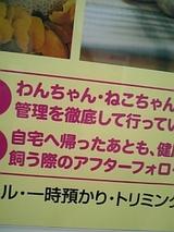 わんちゃん、ねこちゃん 9cb9f40c.jpg