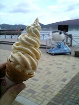 半自作アイス e9035c5f.jpg