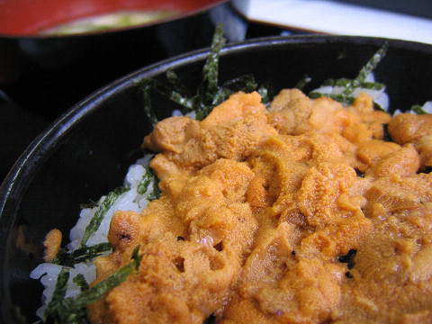 壱岐 うにどん